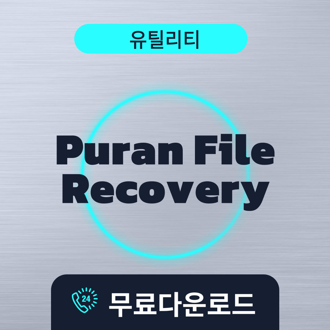 Puran File Recovery무료다운로드